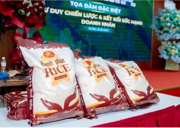 Gạo hạnh phúc vũ – võ: từ cánh đồng khô cằn tây nguyên đến bữa cơm lành mạnh mỗi gia đình